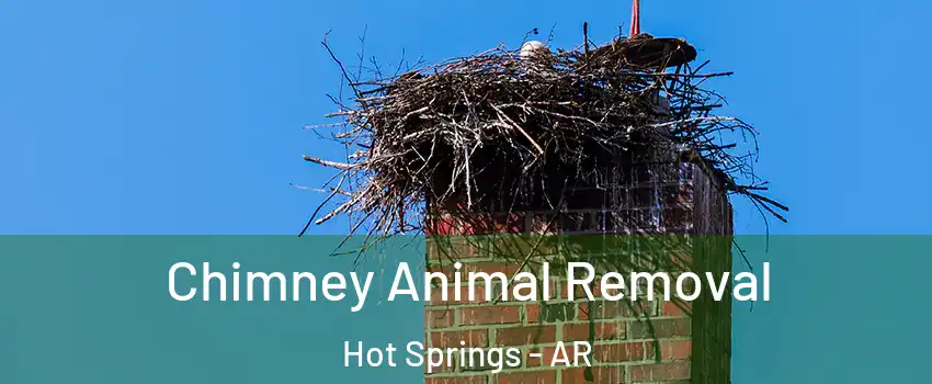  Chimney Animal Removal Hot Springs - AR