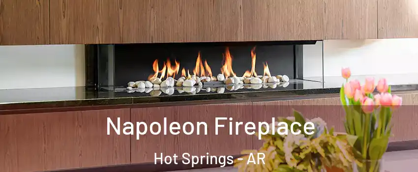  Napoleon Fireplace Hot Springs - AR
